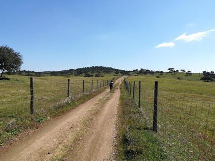 Herdade Do Gizo - Casa Reis Cuba Buitenkant foto